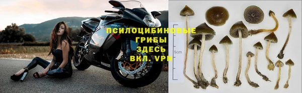 скорость Алексеевка