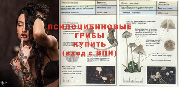 гидра Абаза