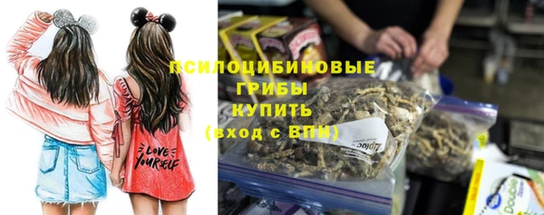 гидра Абаза