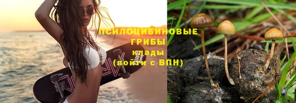 герыч Алзамай